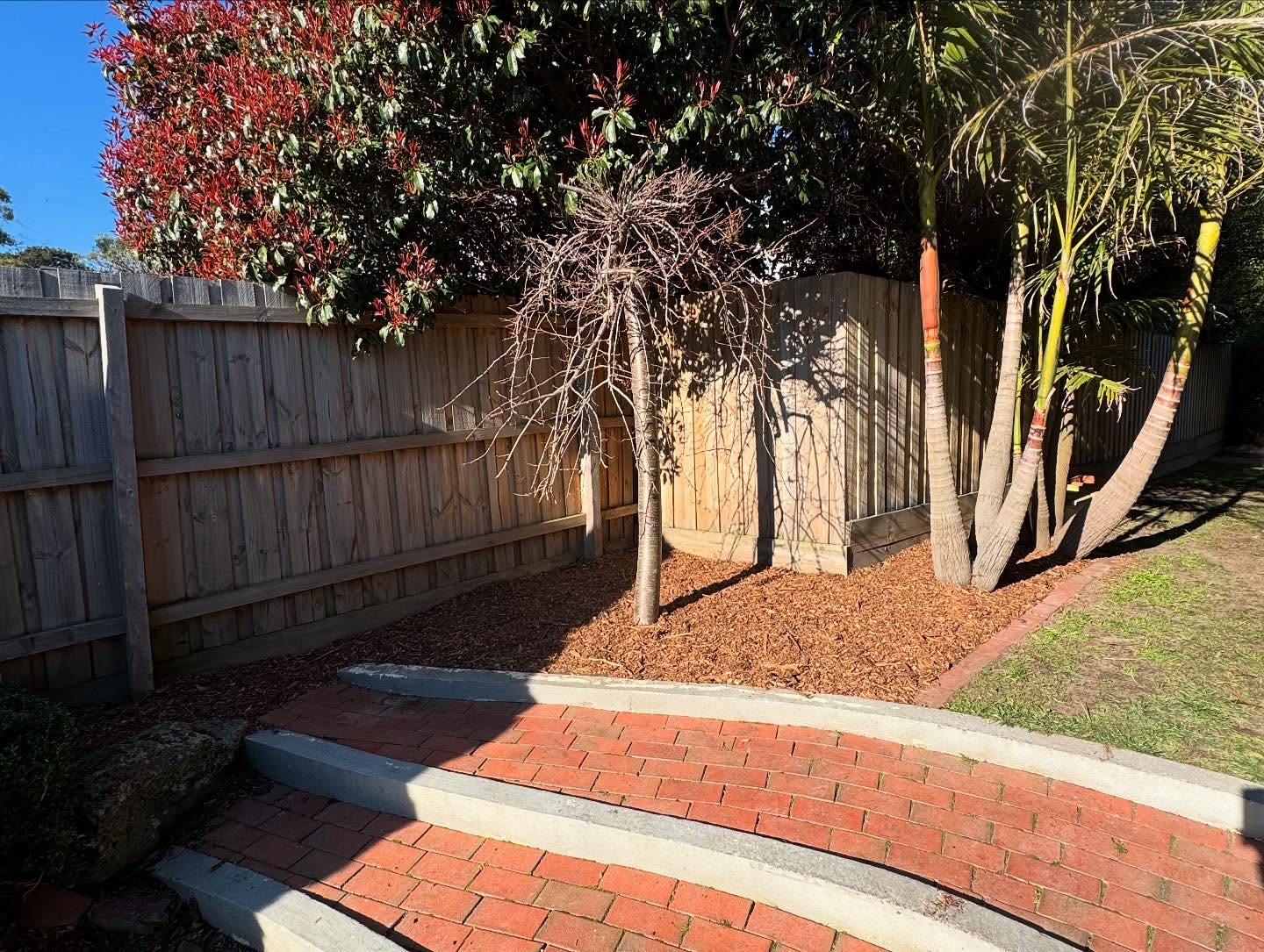 Green-zone-garden-maintenance-peninsula-melbourne-007